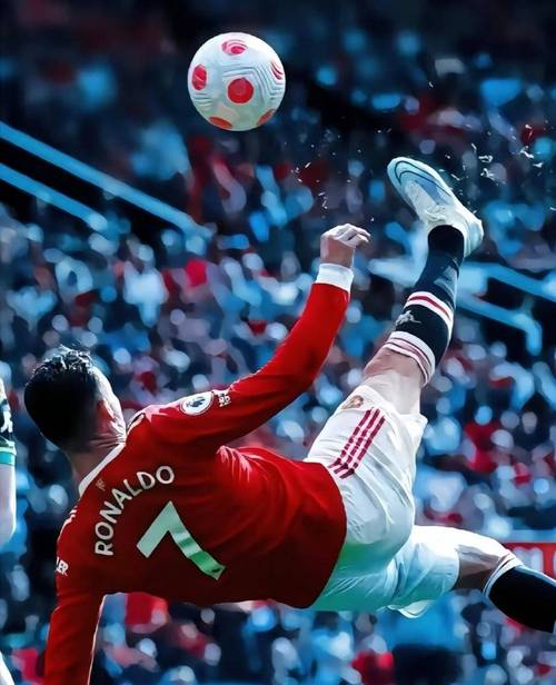 Tỉnh Có Diện Tích Lớn Nhất Việt Nam